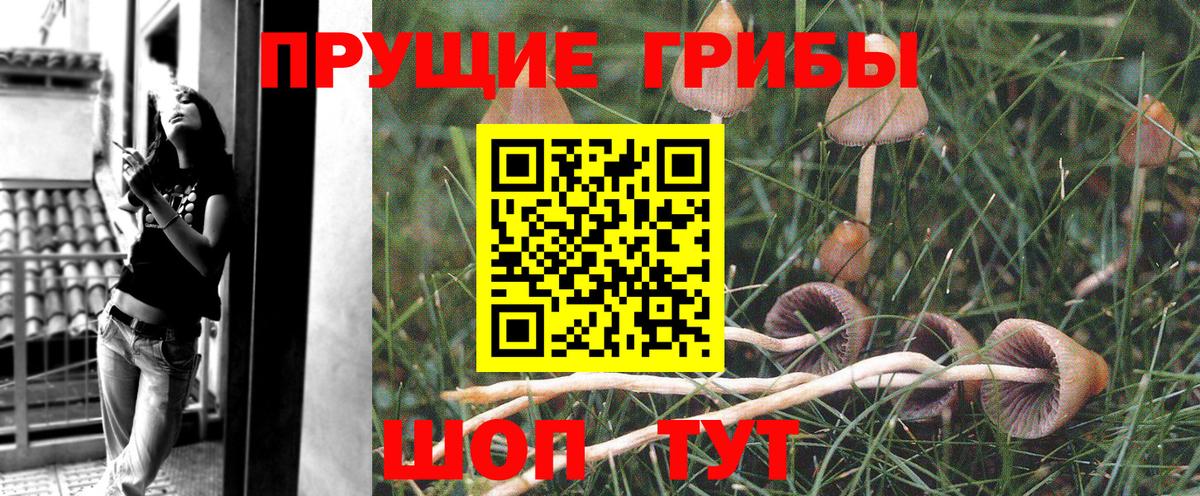Галлюциногенные грибы Magic Shrooms Волжский