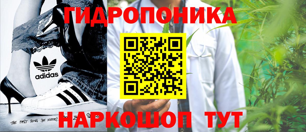 МАРИХУАНА конопля Волжский